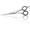 Ciseaux De Coupe Acier Iwasaki 5"